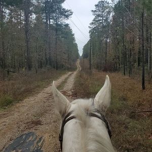 Meet your Posher, Francis